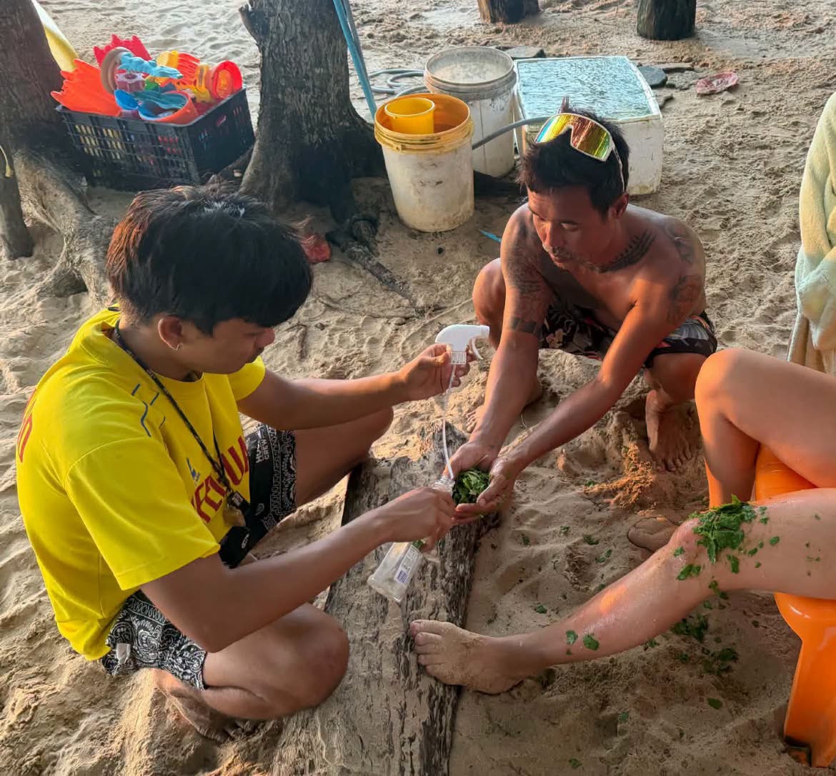 Phuket: Foreign Tourist Hospitalised After Portuguese Man o' War Sting